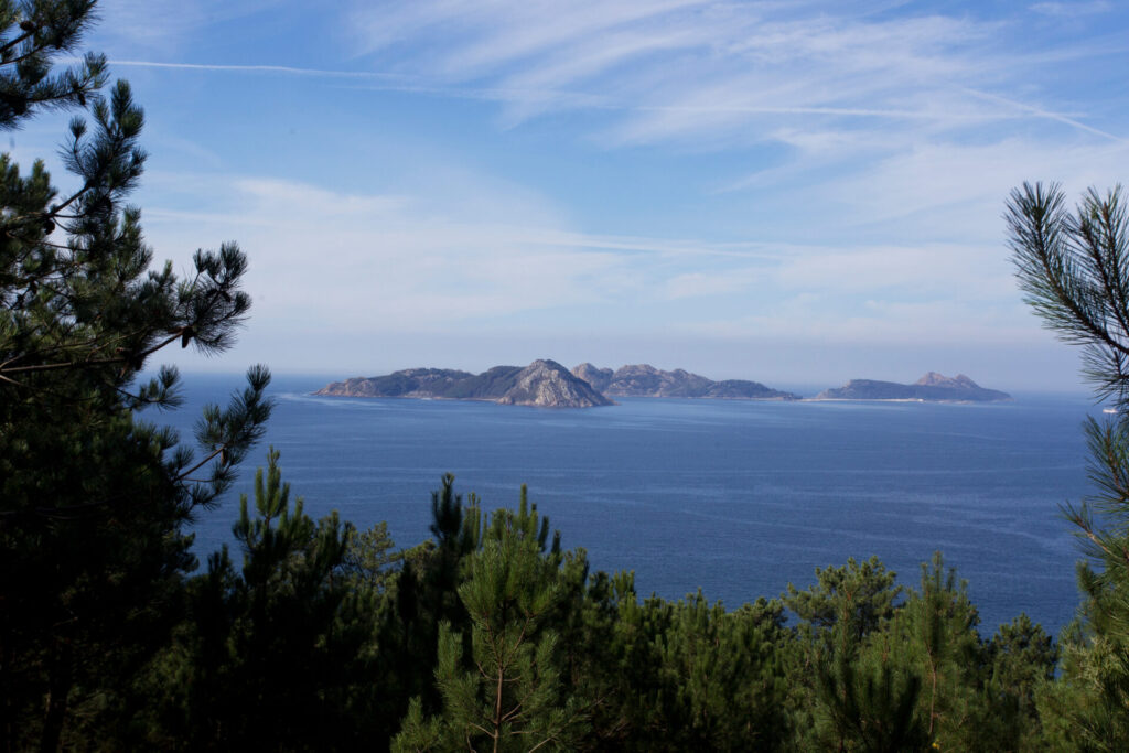 Las Islas Cíes, un refugio natural para la biodiversidad