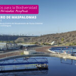 Canarias, protagonista de 'Encuentros para la Biodivesidad'