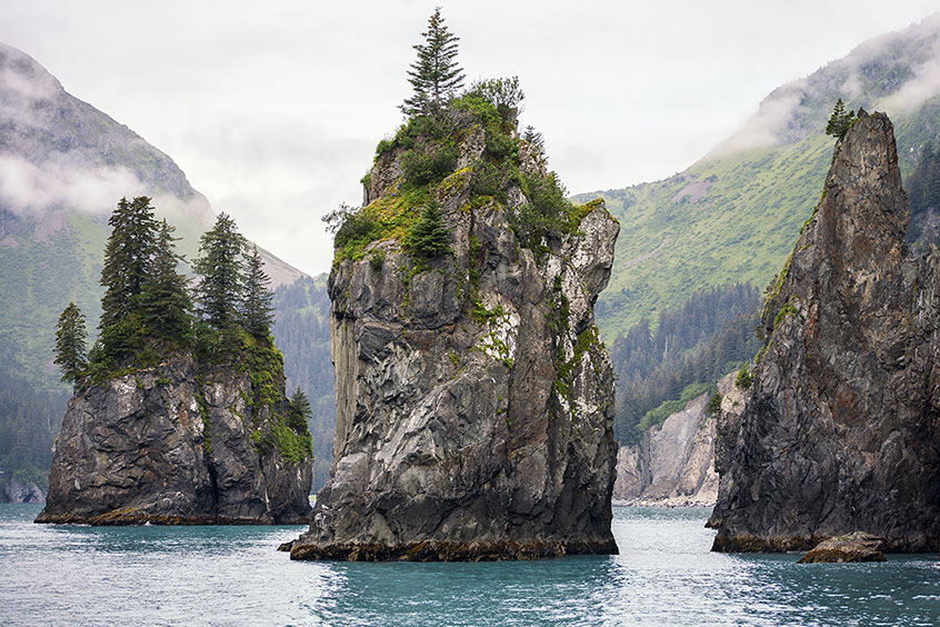 Islotes con vegetación en el Parque Nacional de los Fiordos de Kenai, en Alaska. Steven Schremp © Shutterstock.