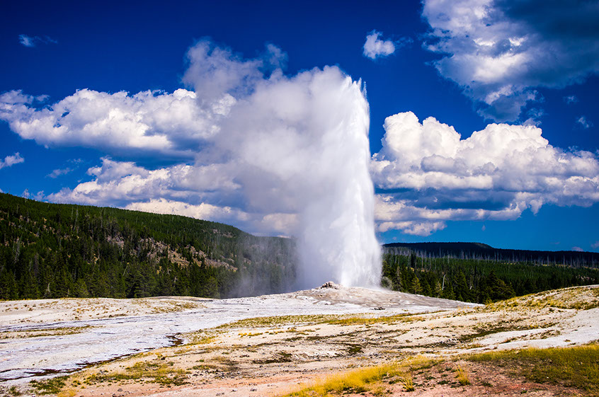 El Old Faithful (Viejo Fiel) es el géiser más conocido de Yellowstone. Su nombre se debe a su actividad a intervalos regulares de tiempo. RRuntsch © Shutterstock.