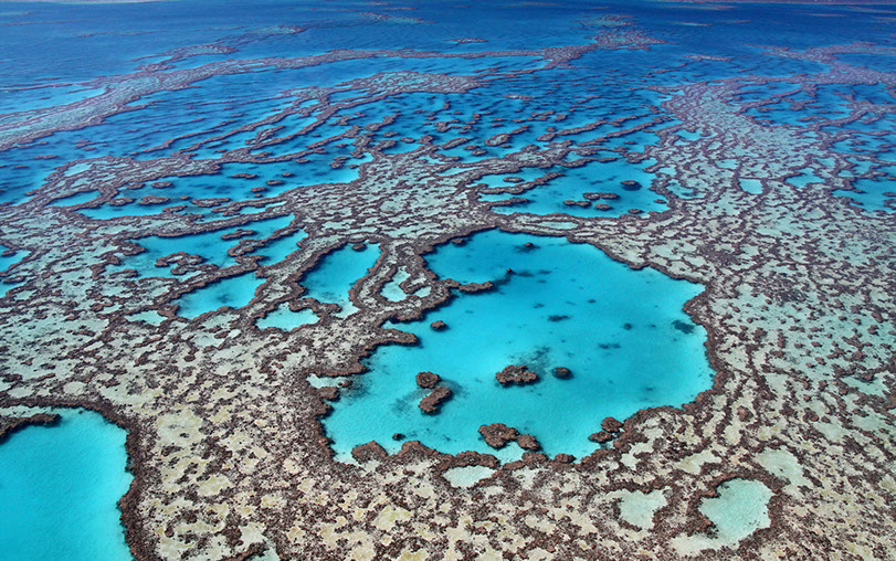 ista aérea de la Gran Barrera de Coral, cerca de las costas de Queensland (Australia). JC Photo © Shutterstock.