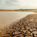 4 soluciones frente la sequía