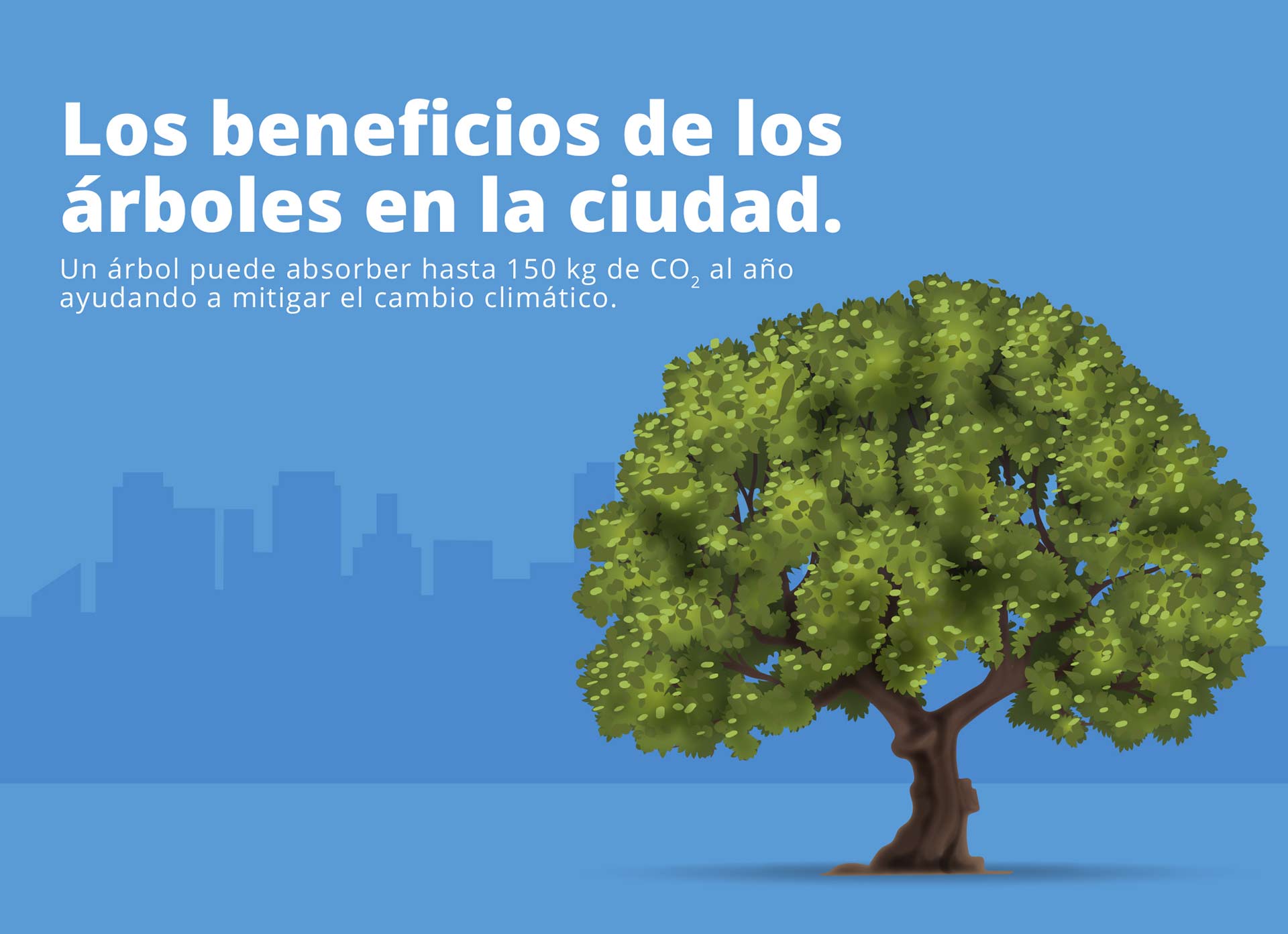 Los beneficios de los árboles en las ciudades - Fundación Aquae