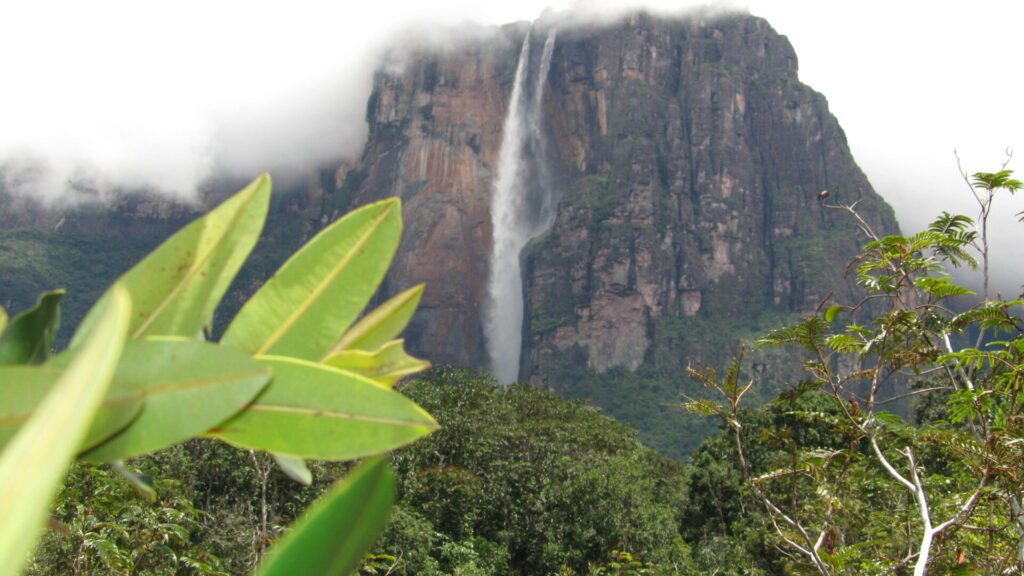 El Salto Ángel, la catarata más alta del mundo, en el Parque Nacional de Canaima, en Venezuela. | FOTO: Antolín Martínez