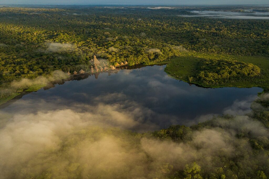 Vista parcial del parque Yasuní, en la Amazonía ecuatoriana. | FOTO: Añangu