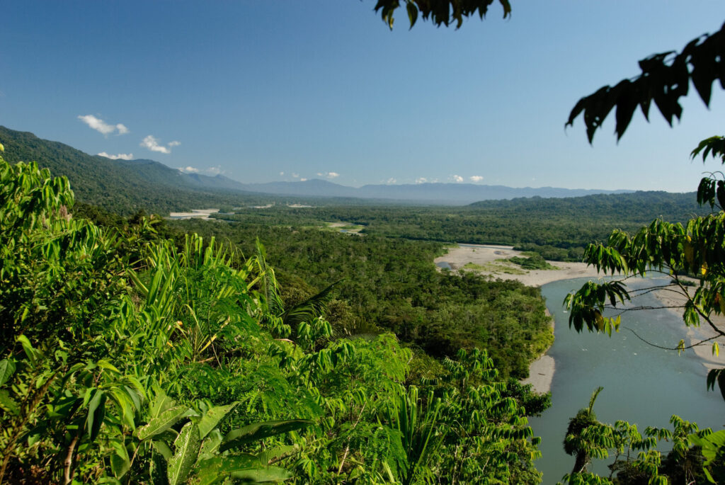 Una vista de las tierras bajas del Parque Nacional Manú, en Perú. | FOTO: Corey Spruit