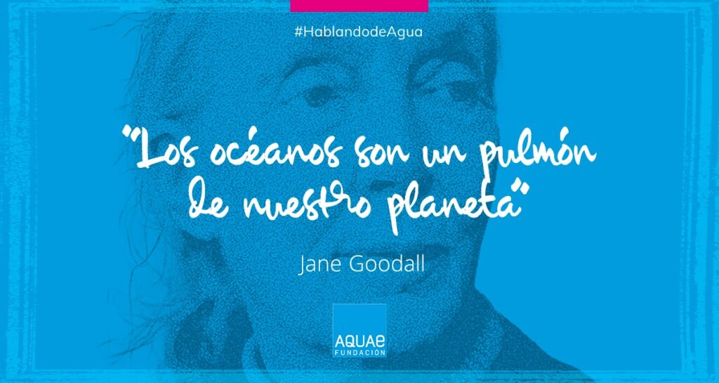 Jane Goodall hablando de agua