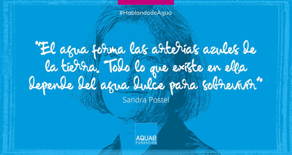 Sandra Postel hablando de agua